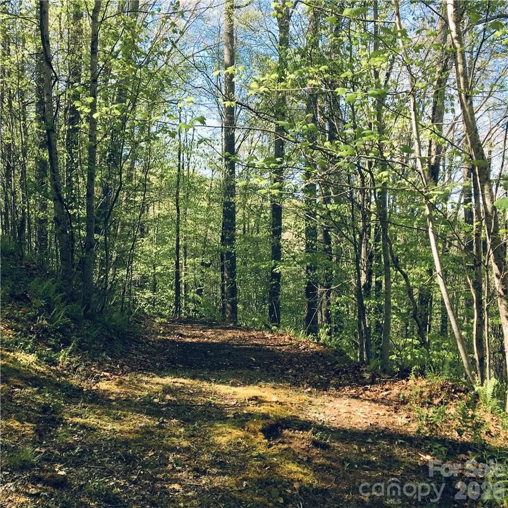 57 Fern Hill Drive Mars Hill NC 28754