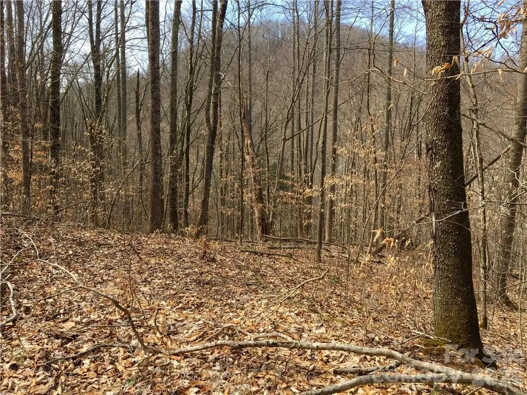 57 Fern Hill Drive Mars Hill NC 28754