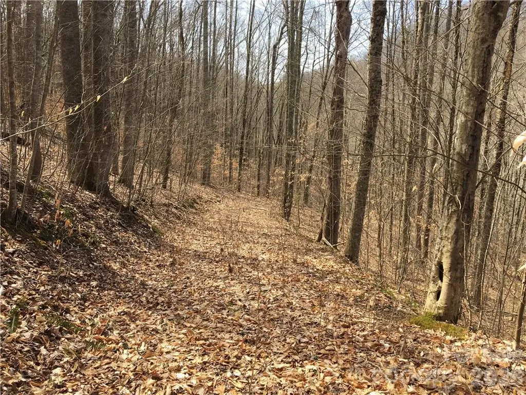 57 Fern Hill Drive Mars Hill NC 28754