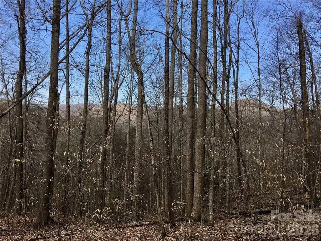57 Fern Hill Drive Mars Hill NC 28754