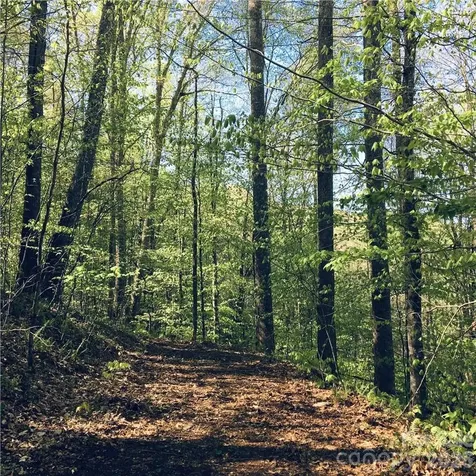 57 Fern Hill Drive Mars Hill NC 28754