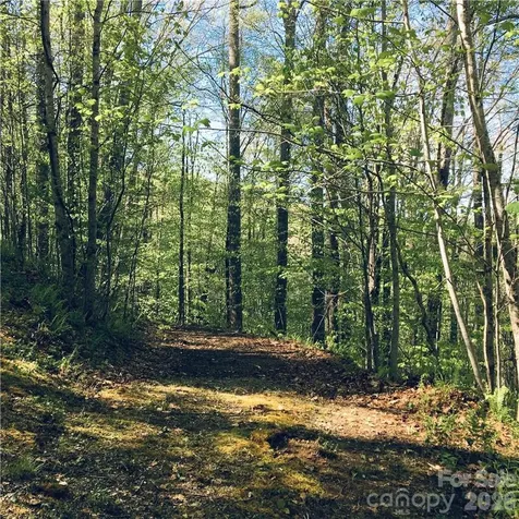 57 Fern Hill Drive Mars Hill NC 28754