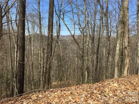 57 Fern Hill Drive Mars Hill NC 28754