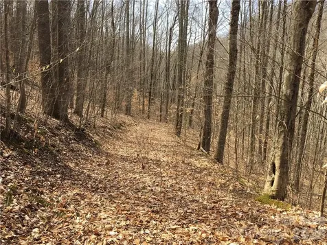 57 Fern Hill Drive Mars Hill NC 28754