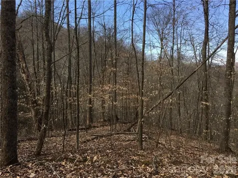 57 Fern Hill Drive Mars Hill NC 28754