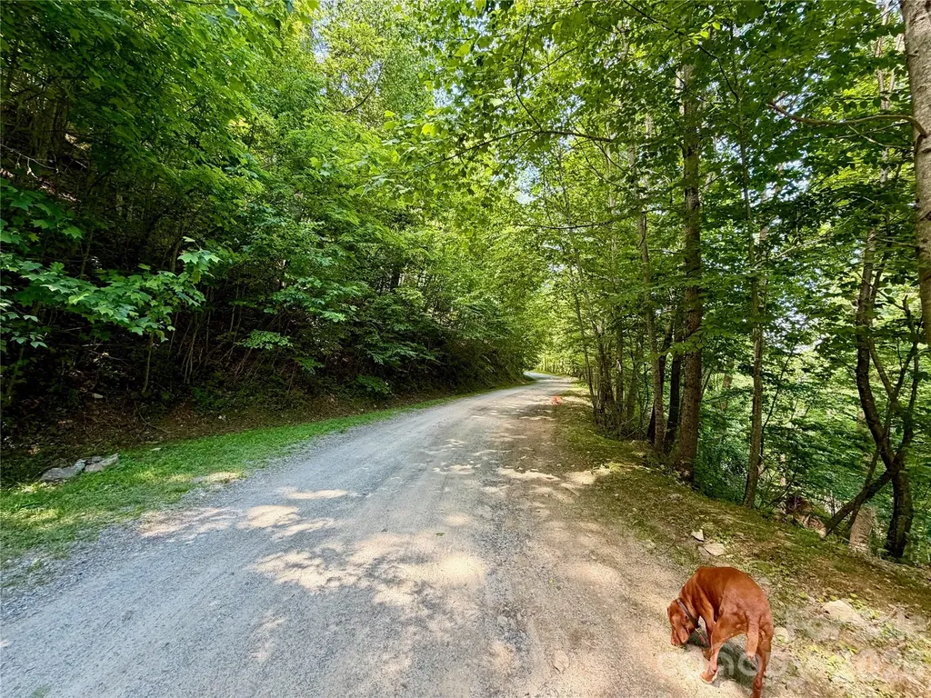 Tbd Grandfather Watch Lane Banner Elk NC 28607