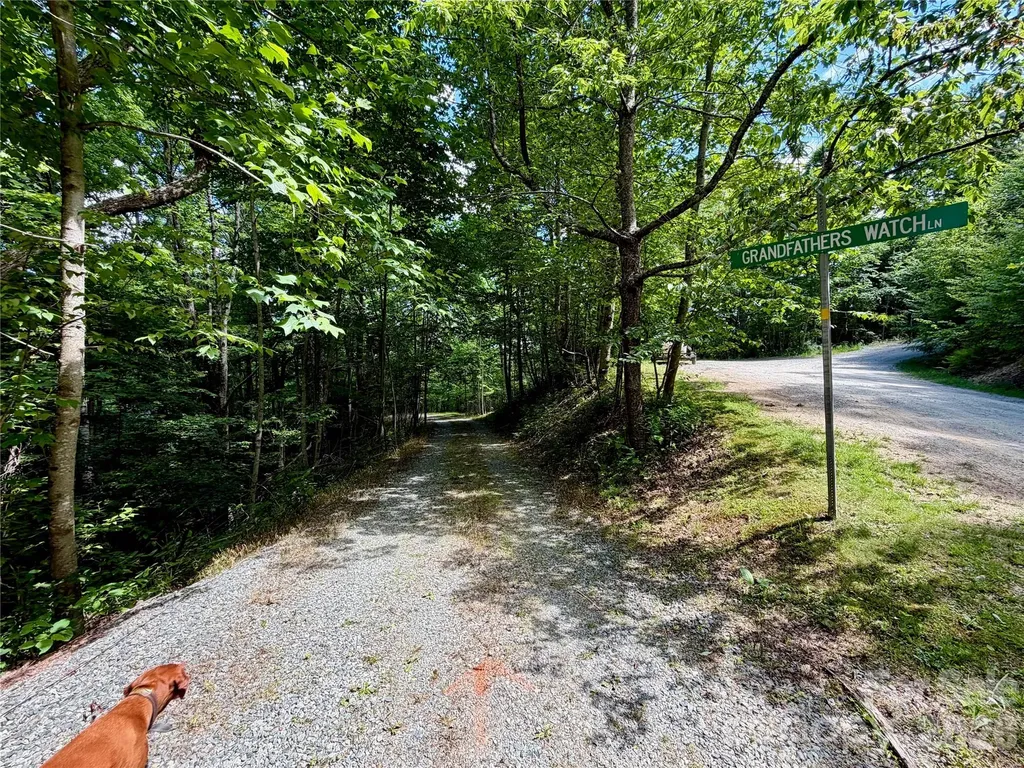 Tbd Grandfather Watch Lane Banner Elk NC 28607