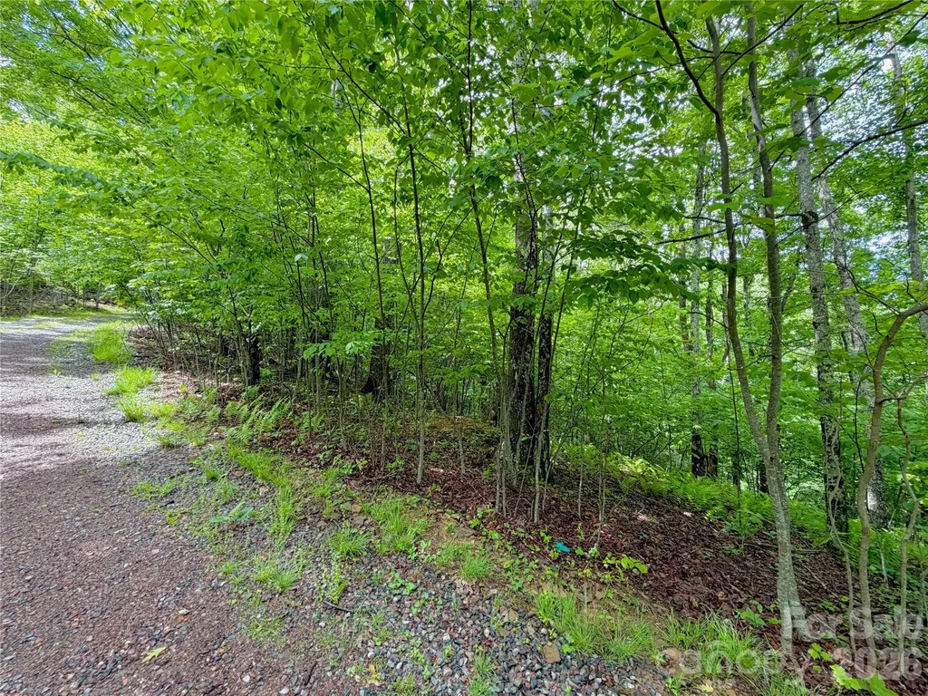 Tbd Grandfather Watch Lane Banner Elk NC 28607
