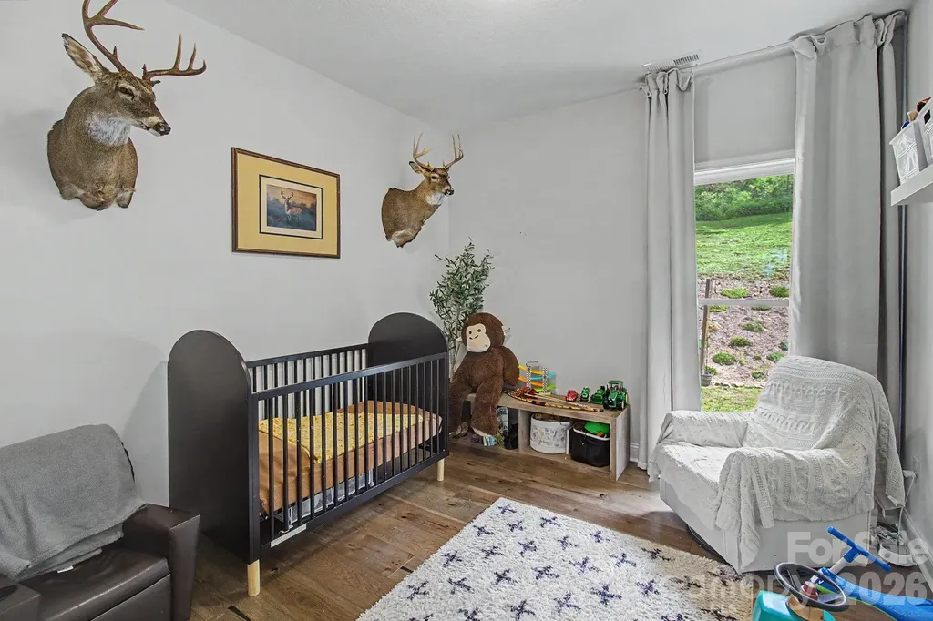 300 Green Meadow Lane Mars Hill NC 28754