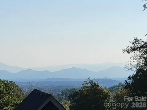 300 Green Meadow Lane Mars Hill NC 28754