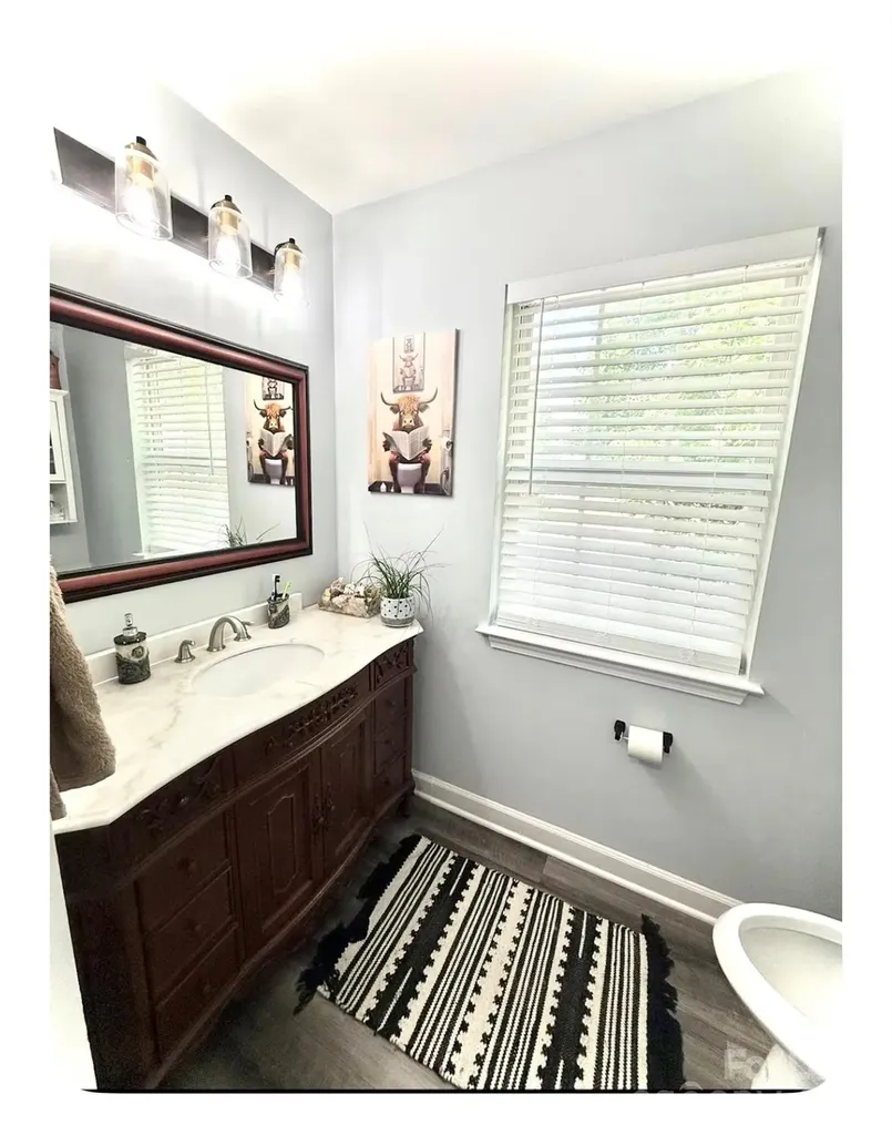 409 Goosedown Court Charlotte NC 28216