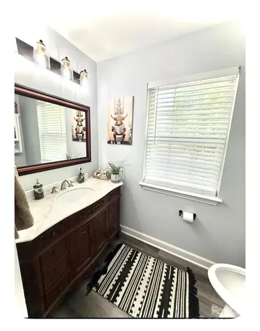 409 Goosedown Court Charlotte NC 28216