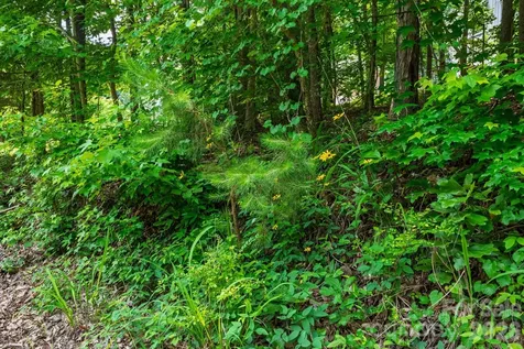 229 Ballard Court Fort Mill SC 29715