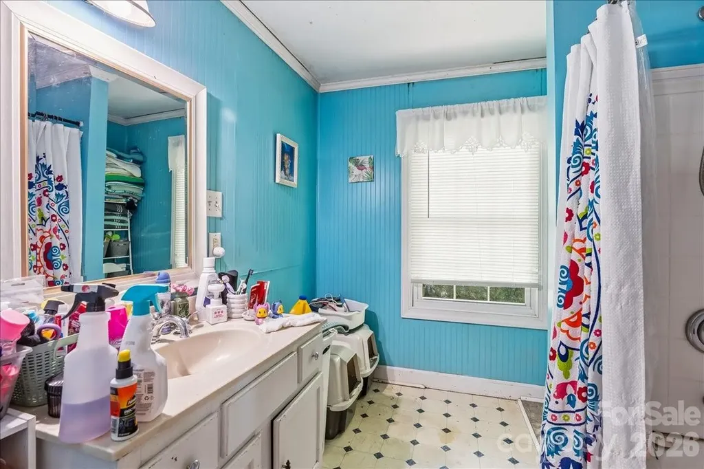 193 Duckworth Avenue Brevard NC 28712