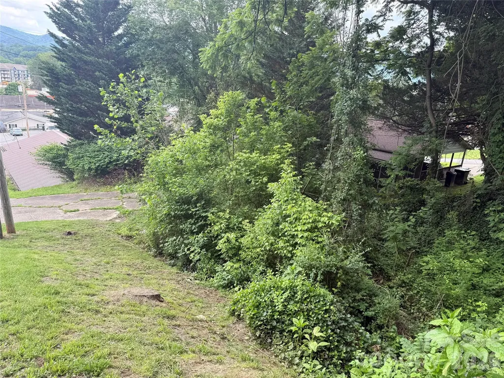 31 Paralee Lane Waynesville NC 28786
