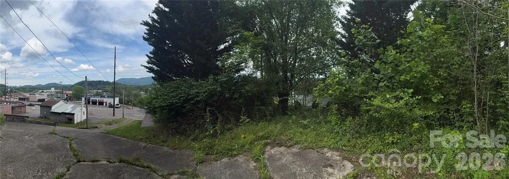 31 Paralee Lane Waynesville NC 28786