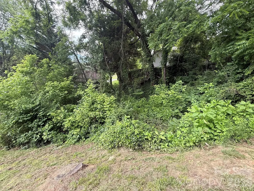 31 Paralee Lane Waynesville NC 28786