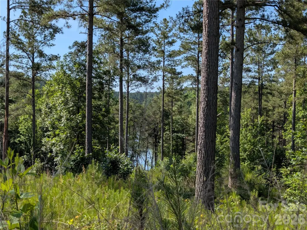 2134 Princeton Mountain Connelly Springs NC 28612