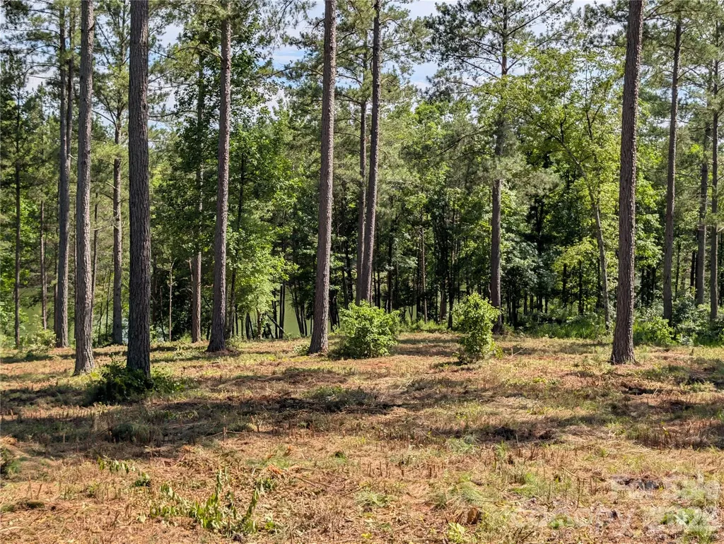 2134 Princeton Mountain Connelly Springs NC 28612