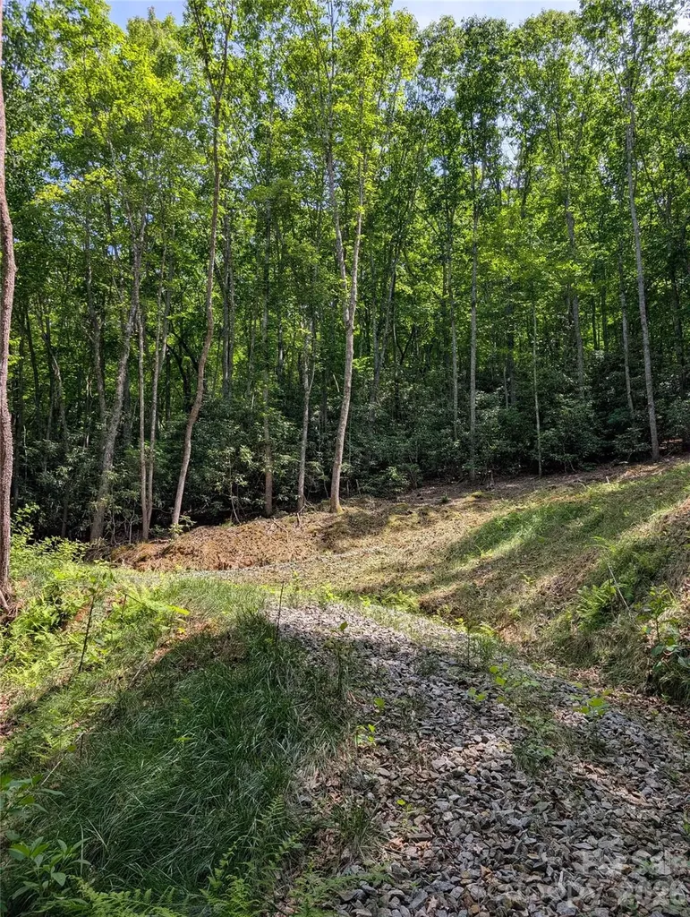 000 Pisgah Highway Candler NC 28715