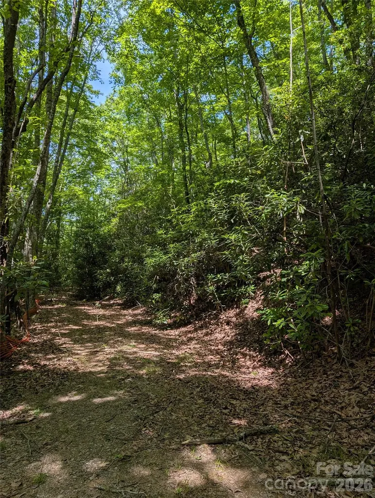 000 Pisgah Highway Candler NC 28715