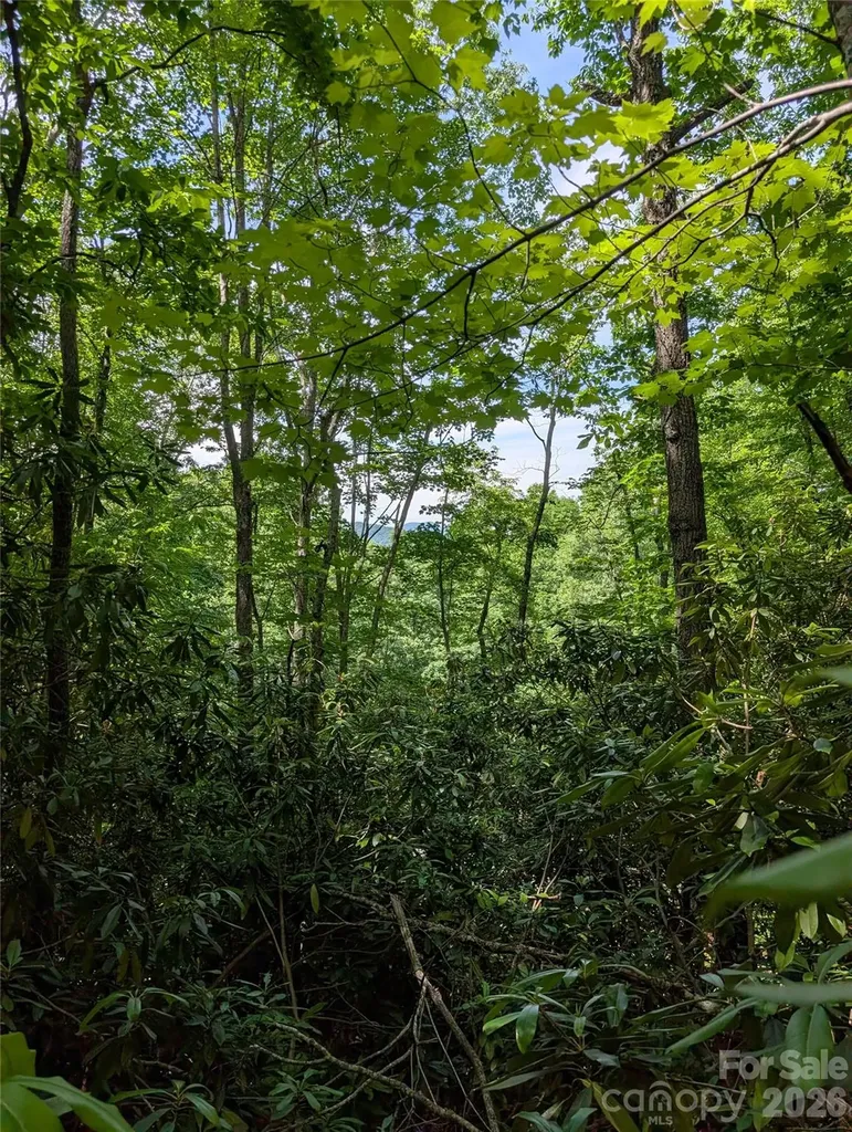 000 Pisgah Highway Candler NC 28715