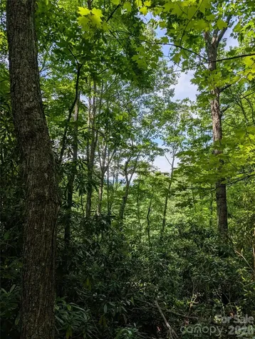 000 Pisgah Highway Candler NC 28715