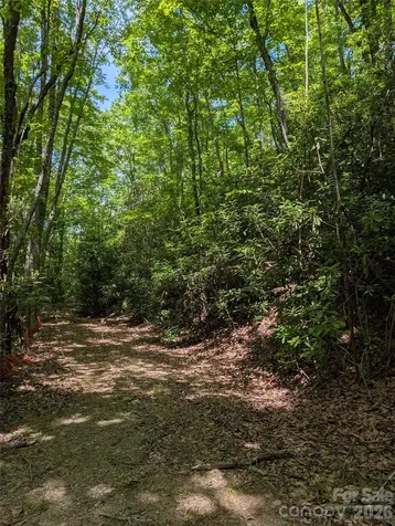 000 Pisgah Highway Candler NC 28715