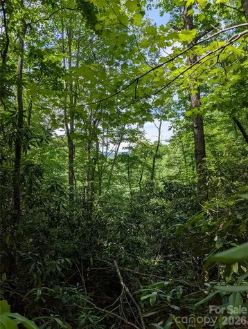 000 Pisgah Highway Candler NC 28715