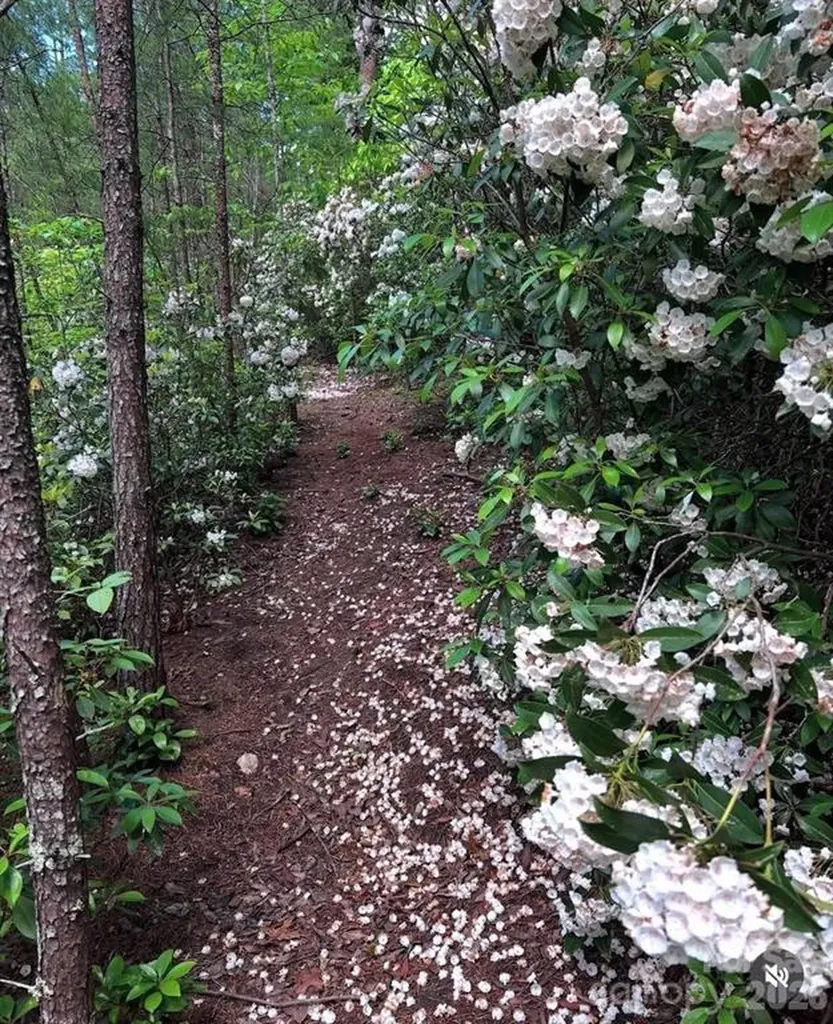 175 Green Hills Road Mill Spring NC 28756