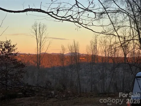 1480 Davis Mountain Road Hendersonville NC 28739