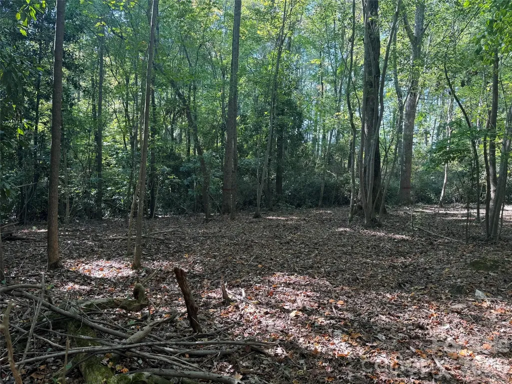0 Biscoe Road Troy NC 27371
