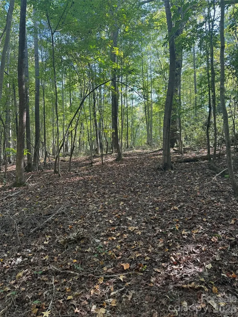 0 Biscoe Road Troy NC 27371