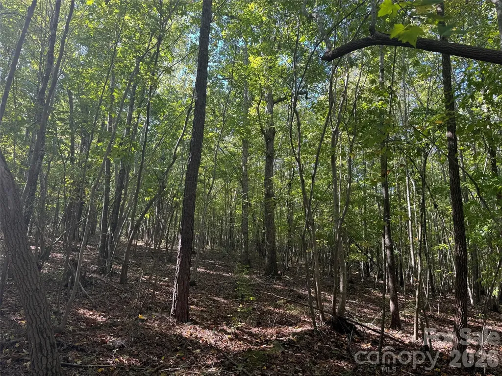 0 Biscoe Road Troy NC 27371