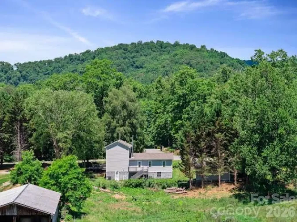308 Browntown Road Leicester NC 28748