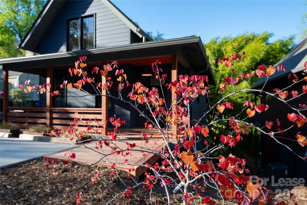 12 Waverly Road Asheville NC 28803