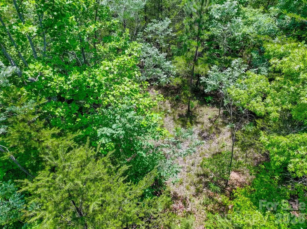 121 Jobes Trail Mill Spring NC 28756