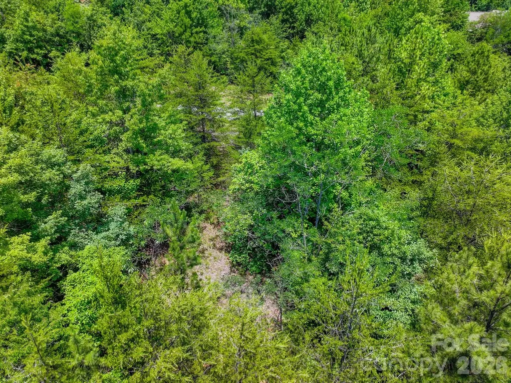 121 Jobes Trail Mill Spring NC 28756