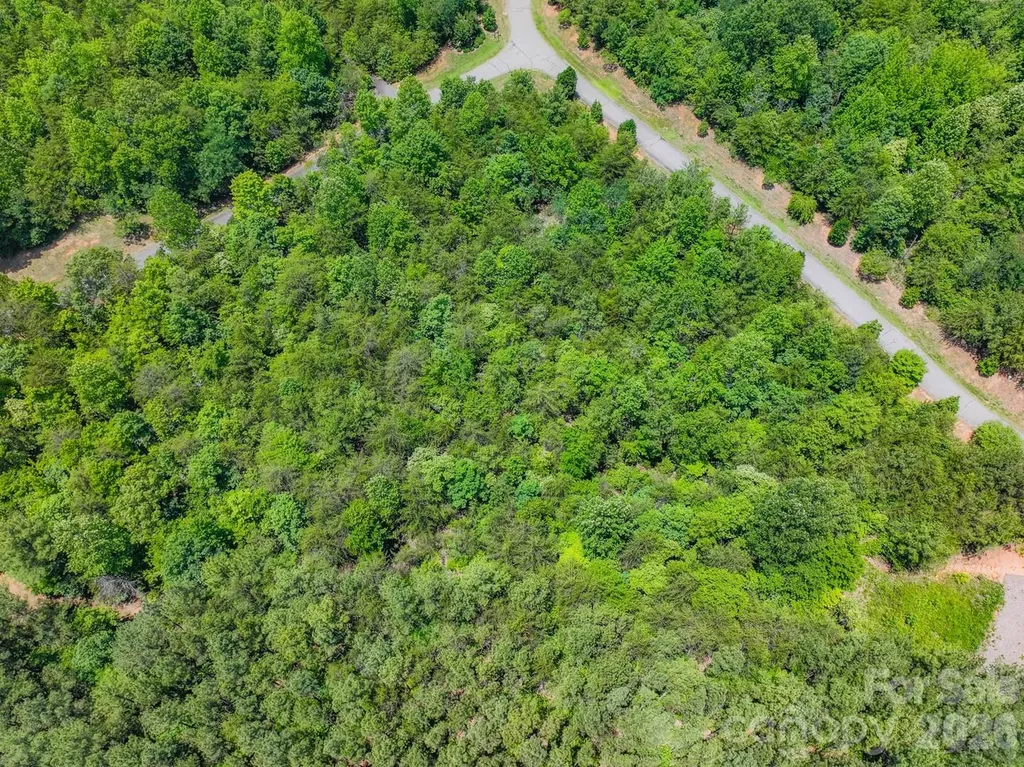 121 Jobes Trail Mill Spring NC 28756