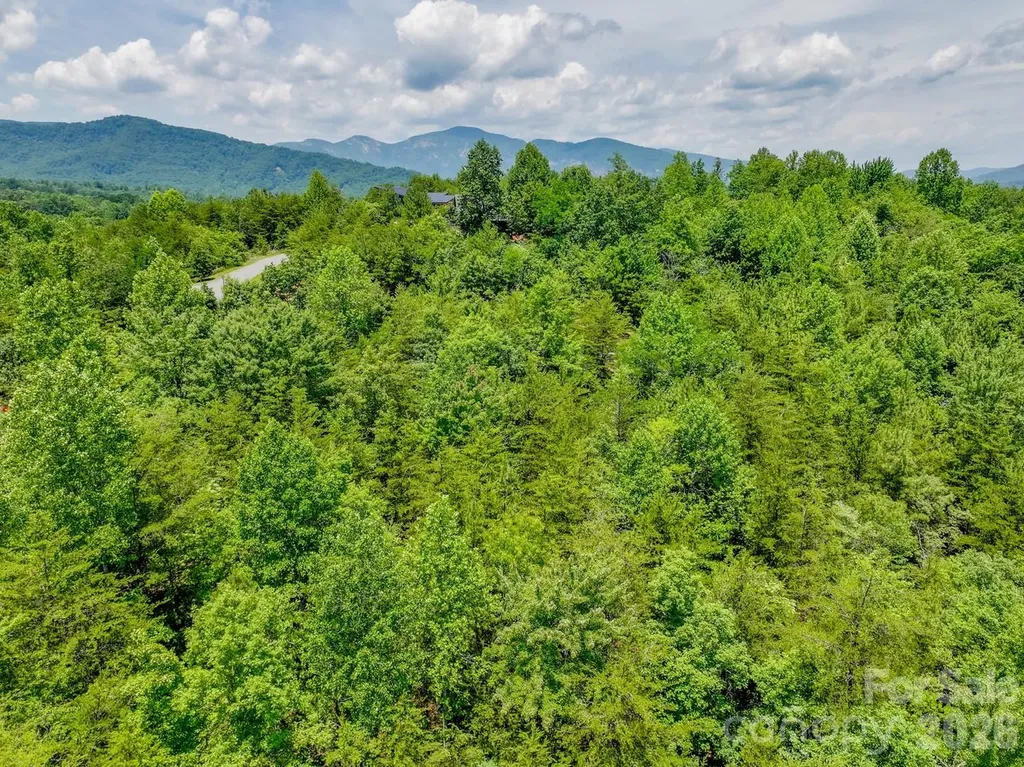 121 Jobes Trail Mill Spring NC 28756