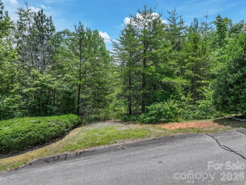 121 Jobes Trail Mill Spring NC 28756