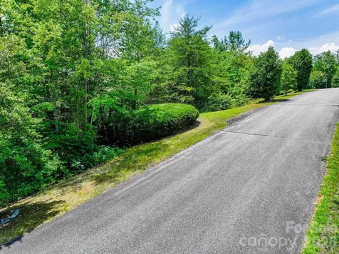 121 Jobes Trail Mill Spring NC 28756