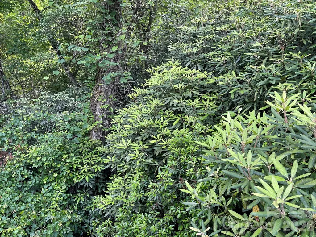 Lot 45 Abby Falls Drive Rosman NC 28772