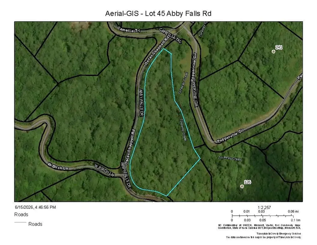 Lot 45 Abby Falls Drive Rosman NC 28772