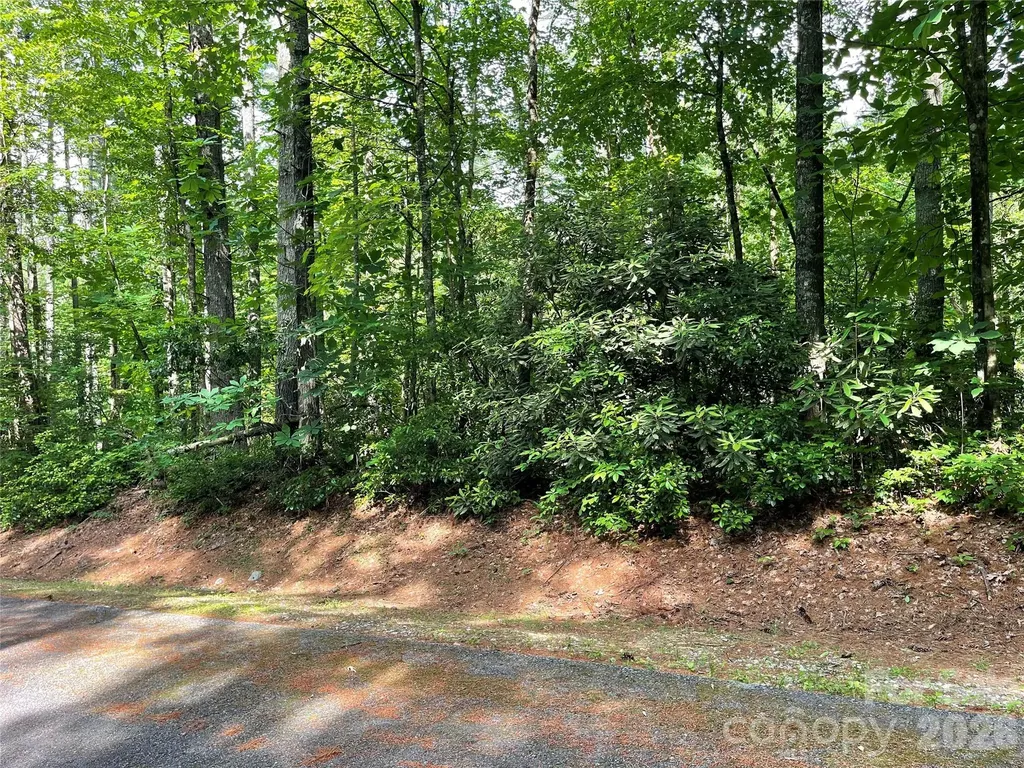 Lot 45 Abby Falls Drive Rosman NC 28772
