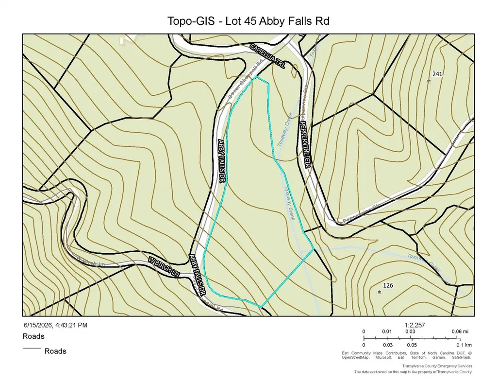 Lot 45 Abby Falls Drive Rosman NC 28772
