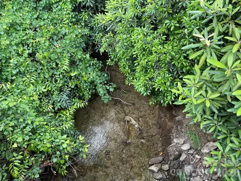 Lot 45 Abby Falls Drive Rosman NC 28772