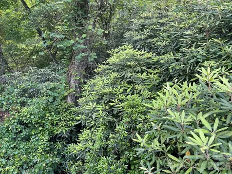 Lot 45 Abby Falls Drive Rosman NC 28772