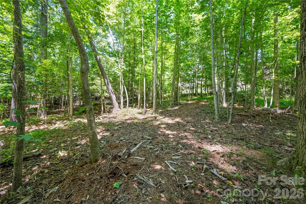 9 Tall Pines Road Hendersonville NC 28739