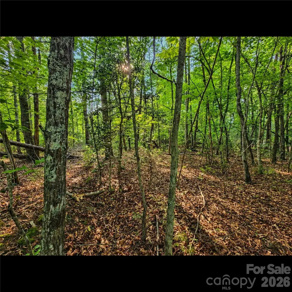 547 James View Road Marion NC 28752